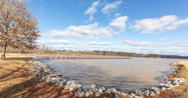 Lake Tom Bailey