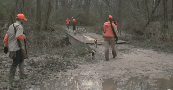 Rabbit Hunt