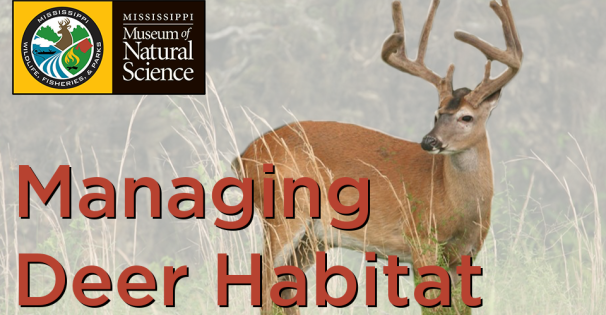 Deer Habitat