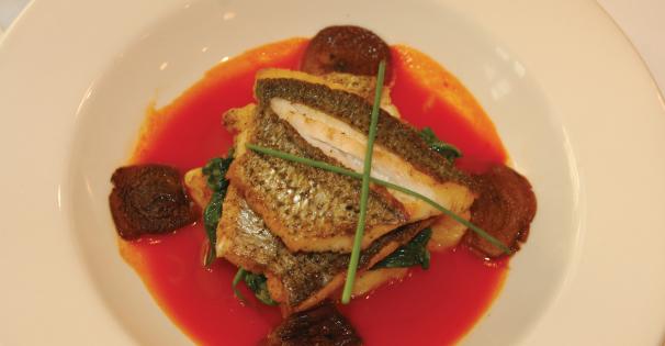 Striped-Bass