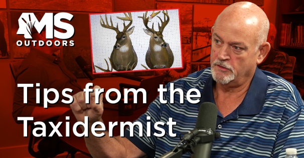 Tips from the Taxidermist