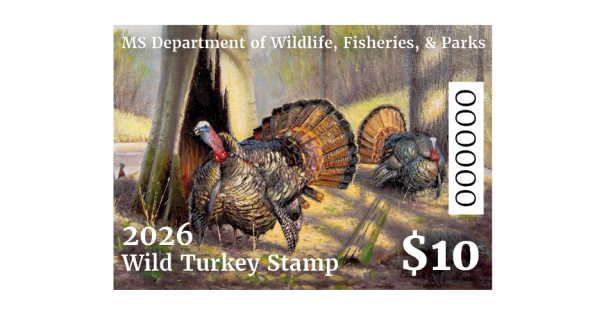 wild turkey stamp