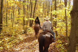 Horsback Riding