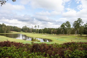Percy Quin Golf
