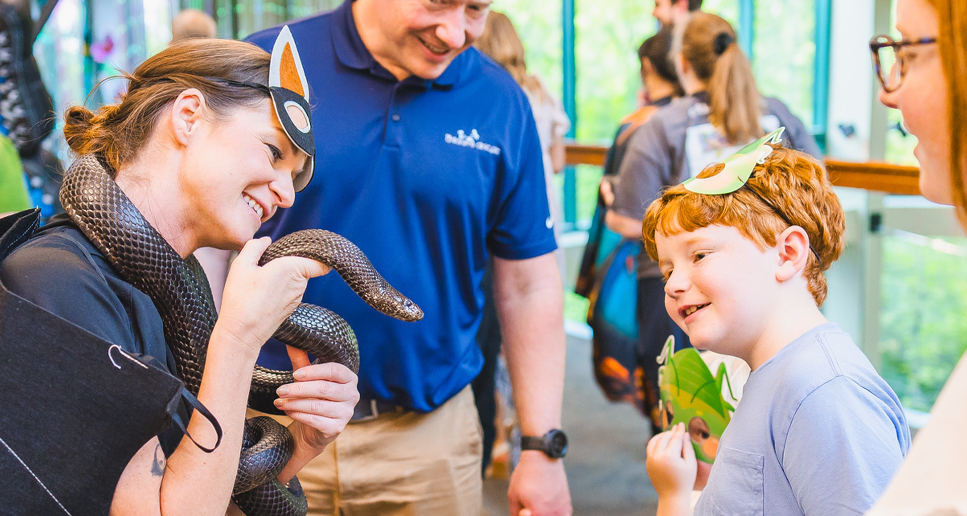 Museum Snake Banner