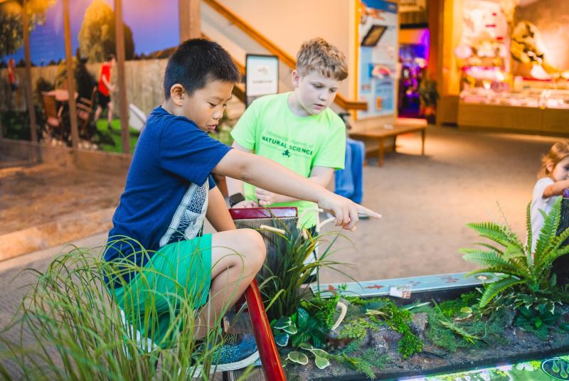 Backyard Adventures Exhibit