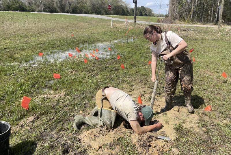 Burrowing Crayfish Sampling