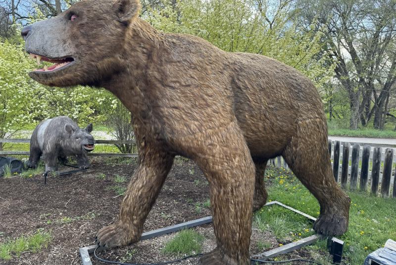 Short Faced Bear robot Giants of the Ice Age exhibit