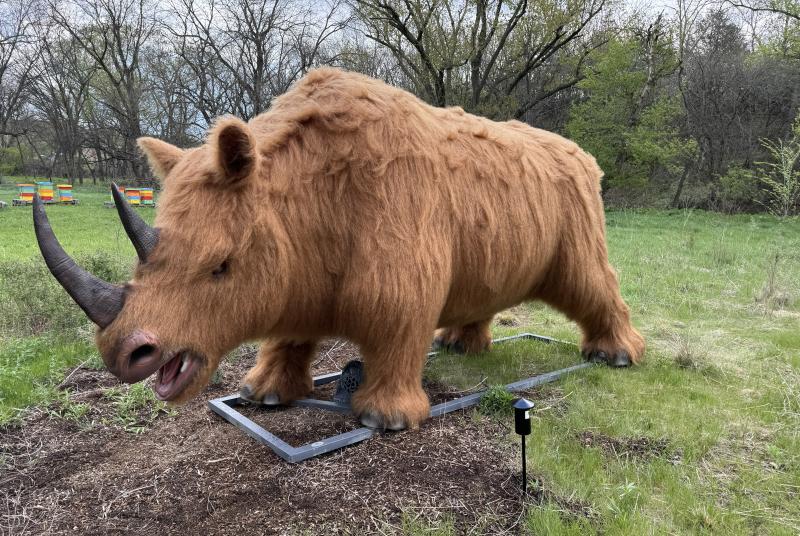 Woolly Rhino robot Giants of the Ice Age exhibit